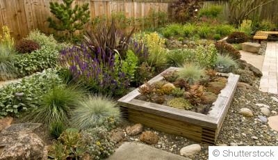 Plantes résistantes à la sécheresse pour un jardin durable