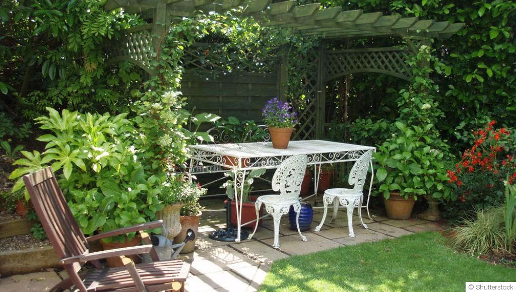 Quelles plantes choisir pour un jardin ombragé ?