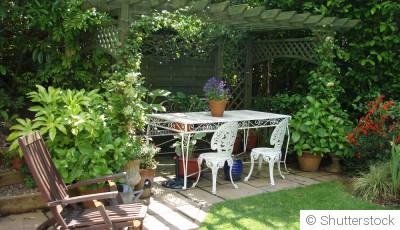 Quelles plantes choisir pour un jardin ombragé ?