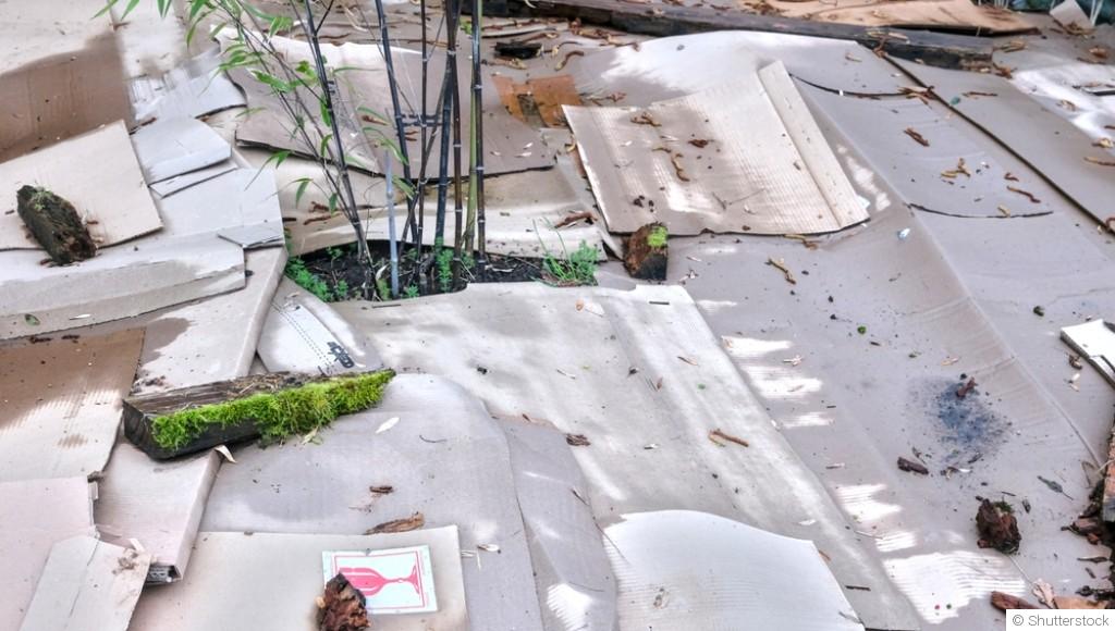 Techniques de jardinage en lasagnes : layering pour la richesse du sol