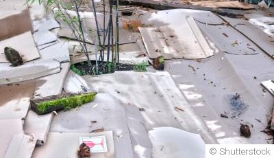 Techniques de jardinage en lasagnes : layering pour la richesse du sol