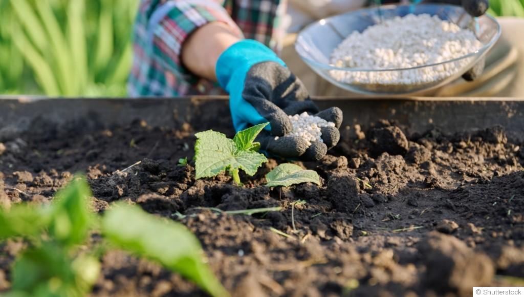 Tout savoir sur les engrais organiques et chimiques