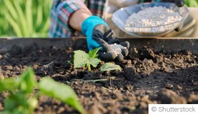 Tout savoir sur les engrais organiques et chimiques