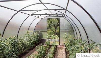 Comment choisir et installer un serre dans votre jardin