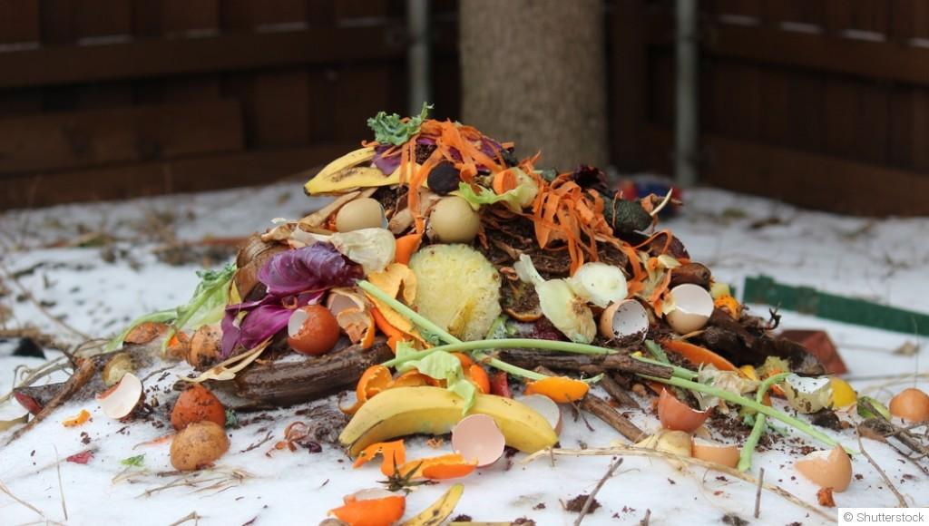 Composter en hiver : techniques et conseils pour un compost actif
