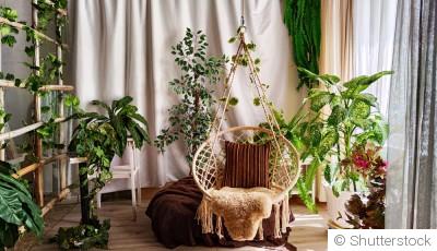 Créer un jardin d’hiver : plantes, aménagement et inspirations