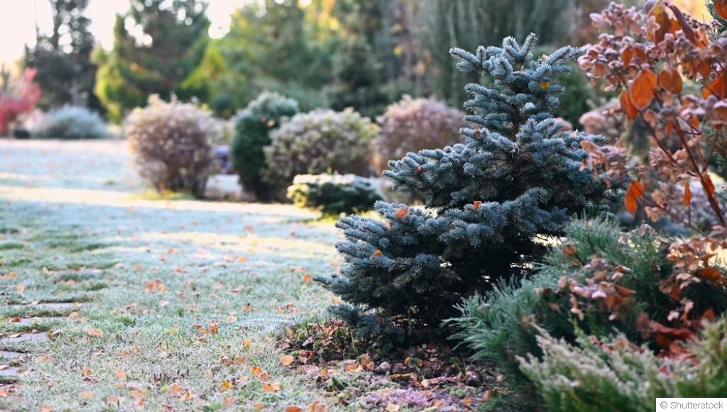 Préparer son jardin pour l’hiver : les étapes essentielles