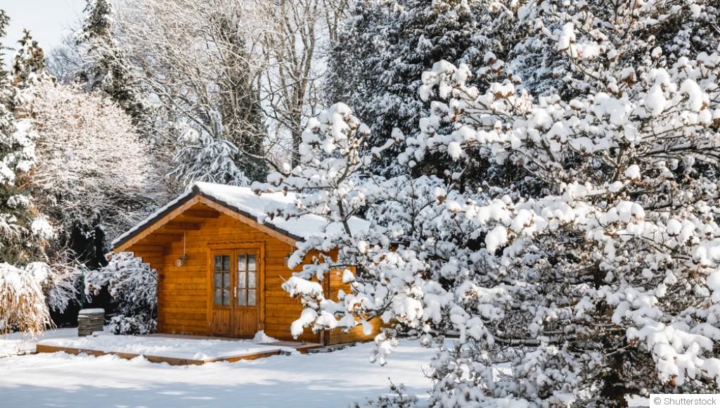 Les plantes qui résistent au froid : quelles variétés cultiver en hiver
