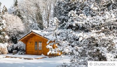 Les plantes qui résistent au froid : quelles variétés cultiver en hiver