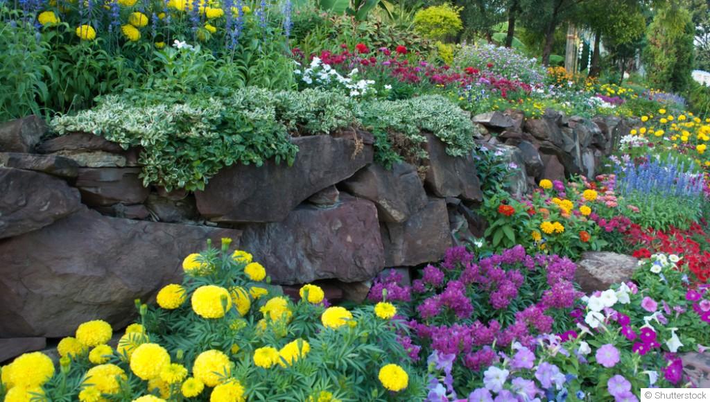 Créer un jardin comestible : Plantes et design