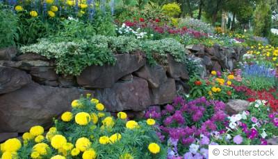 Créer un jardin comestible : Plantes et design