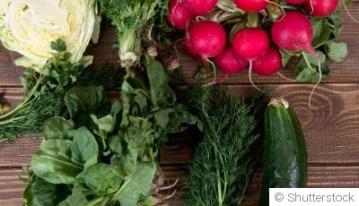 Cultiver des légumes en hiver : guide pratique pour un potager d’hiver