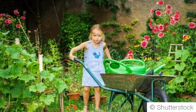 Les bénéfices des plantes compagnes au jardin