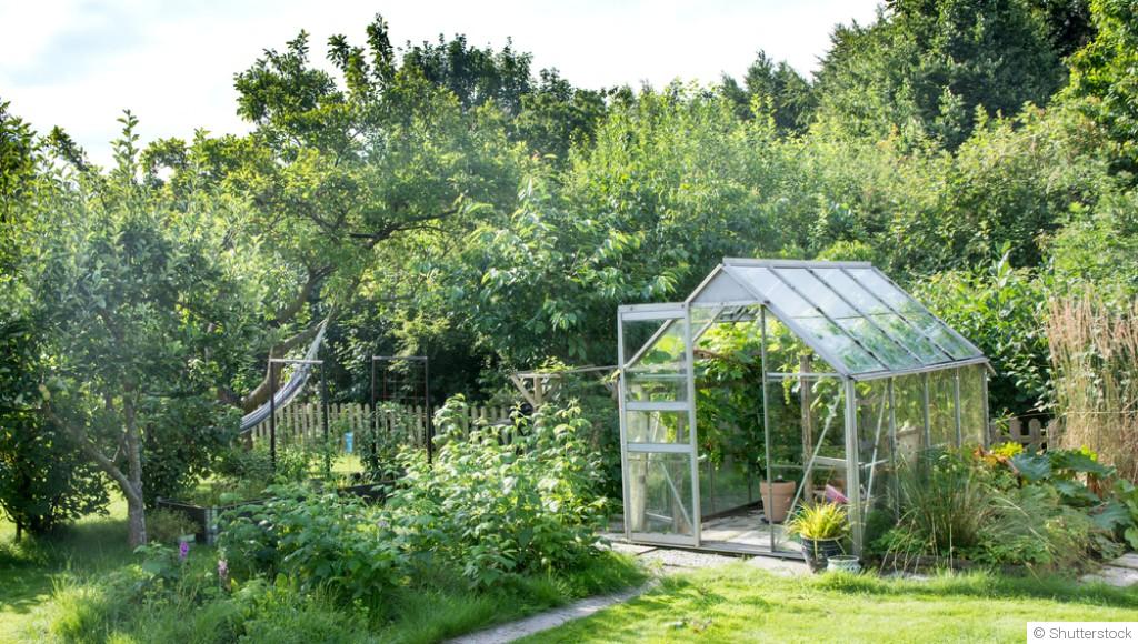 Installer une serre dans votre jardin pour prolonger vos cultures en hiver