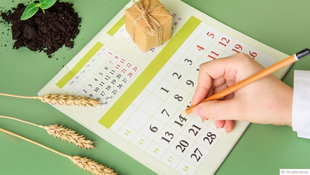 Calendrier des semis d’hiver : que planter et quand ?