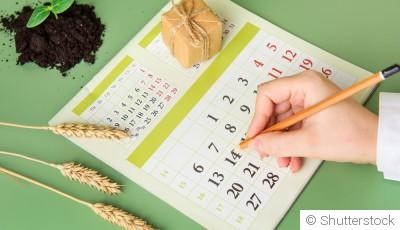 Calendrier des semis d’hiver : que planter et quand ?