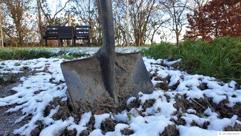 Les tâches essentielles à réaliser au potager en janvier