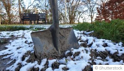 Les tâches essentielles à réaliser au potager en janvier