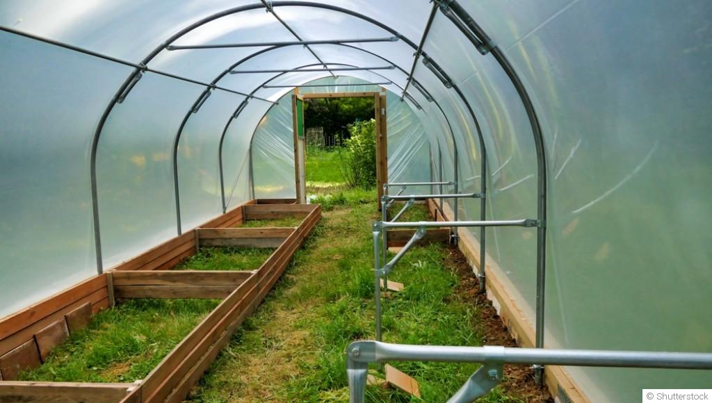 Quels légumes semer sous abri en janvier ?