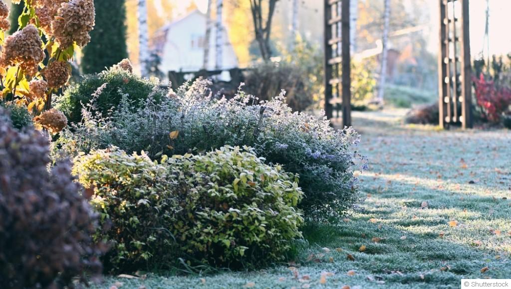 Préparer et enrichir le sol de votre jardin pendant l’hiver