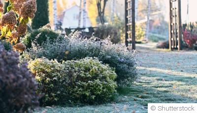Préparer et enrichir le sol de votre jardin pendant l’hiver