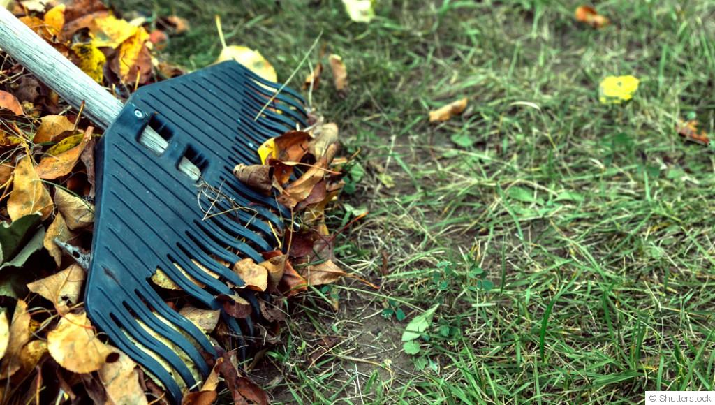 Les travaux de jardinage essentiels à réaliser en fin d’hiver