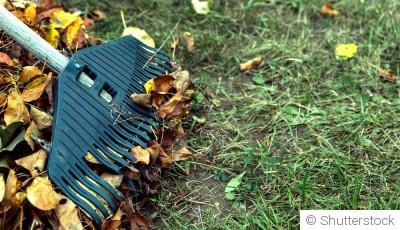 Les travaux de jardinage essentiels à réaliser en fin d’hiver