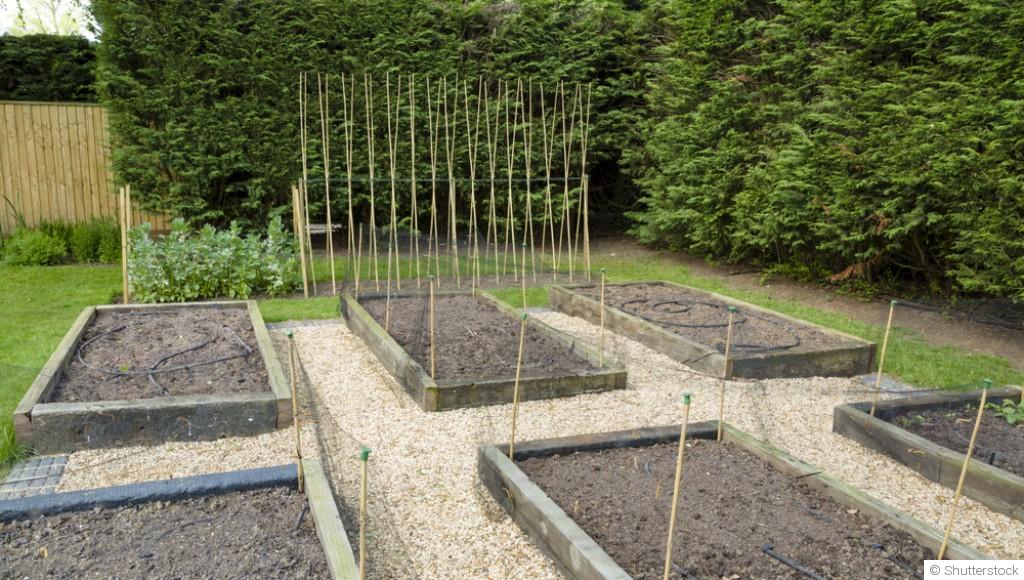 Aménager un coin potager dès février : par où commencer ?