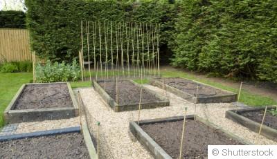 Aménager un coin potager dès février : par où commencer ?