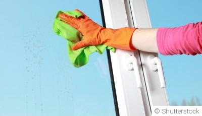 Comment bien nettoyer et entretenir votre serre avant le printemps ?