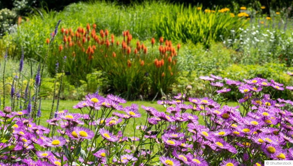 Techniques pour préserver la biodiversité de votre jardin