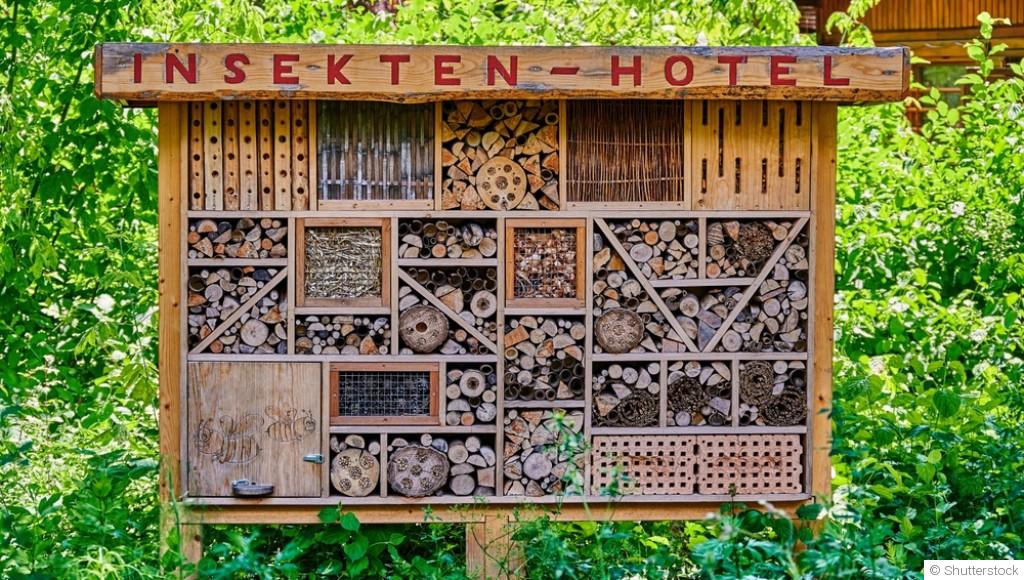 Comment et pourquoi créer un hôtel à insectes