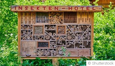 Comment et pourquoi créer un hôtel à insectes