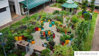 Utiliser des matériaux recyclés pour votre jardinage