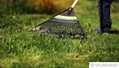 Préparer son jardin pour l’arrivée des beaux jours