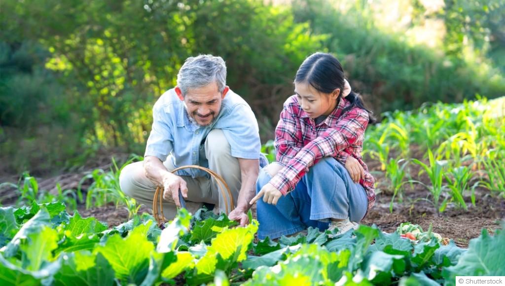 Techniques pour cultiver des légumes asiatiques
