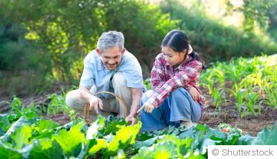 Techniques pour cultiver des légumes asiatiques