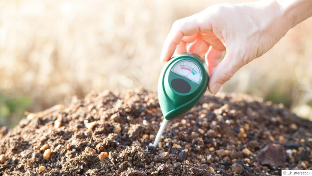 Comment gérer le ph du sol pour une meilleure croissance des plantes