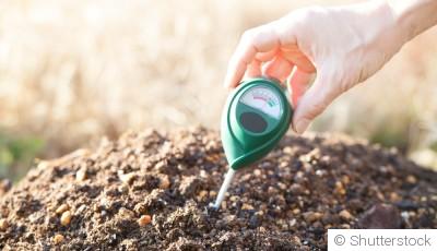 Comment gérer le ph du sol pour une meilleure croissance des plantes