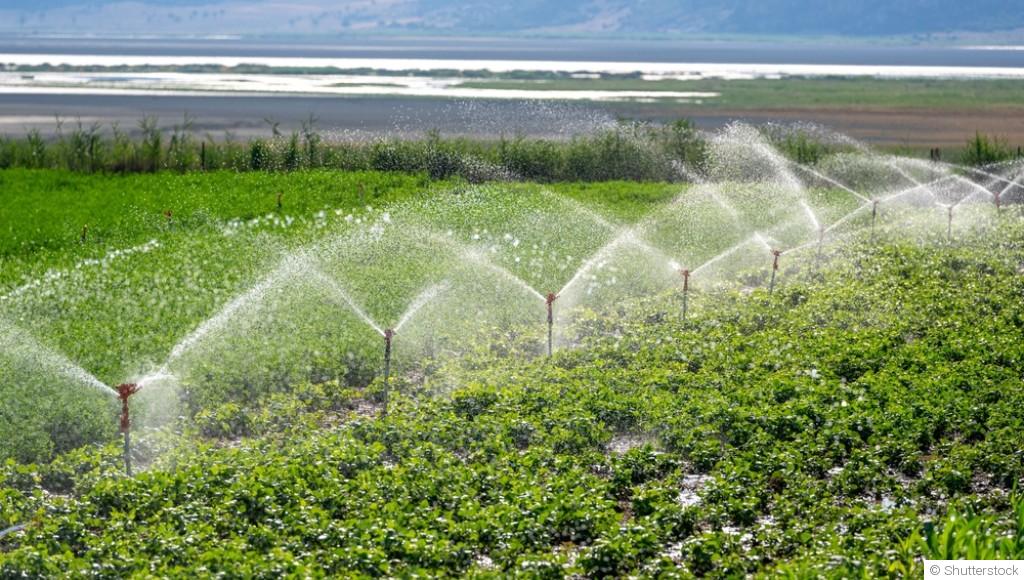 Installer un système d’arrosage automatique pour la saison à venir