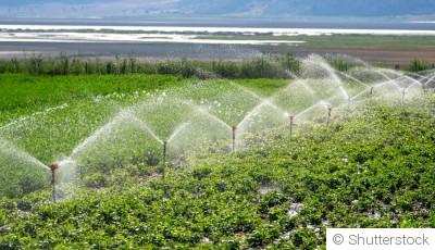 Installer un système d’arrosage automatique pour la saison à venir