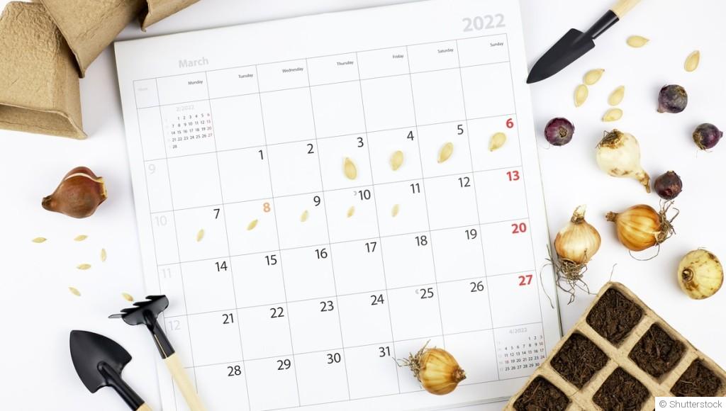 đ Calendrier de Jardinage : Lâastuce incontournable pour un jardin luxuriant toute lâannĂ©e !