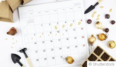 📆 Calendrier de Jardinage : L’astuce incontournable pour un jardin luxuriant toute l’année !
