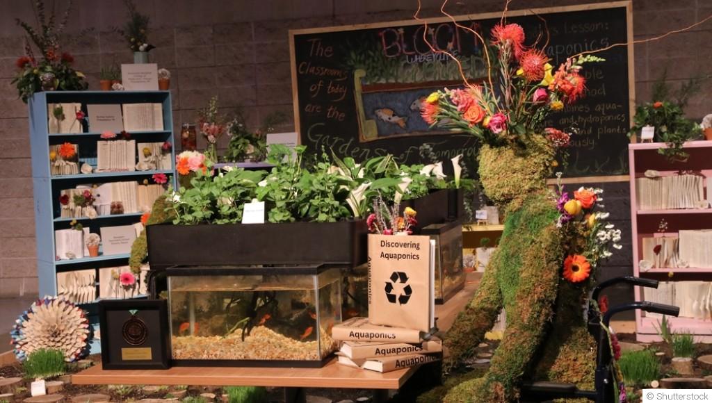 Astuces pour intégrer l\'aquaponie dans votre jardin