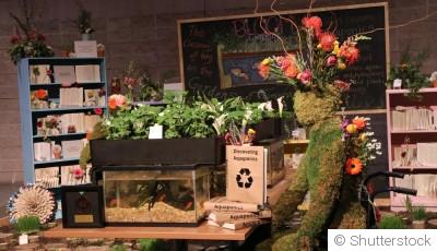 Astuces pour intégrer l\'aquaponie dans votre jardin