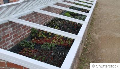 Comment construire un cadre froid pour vos semis