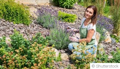 Comment planifier un jardin de plantes aromatiques