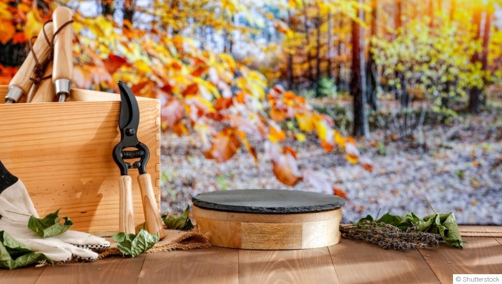 Conseils pour entretenir votre jardin en automne