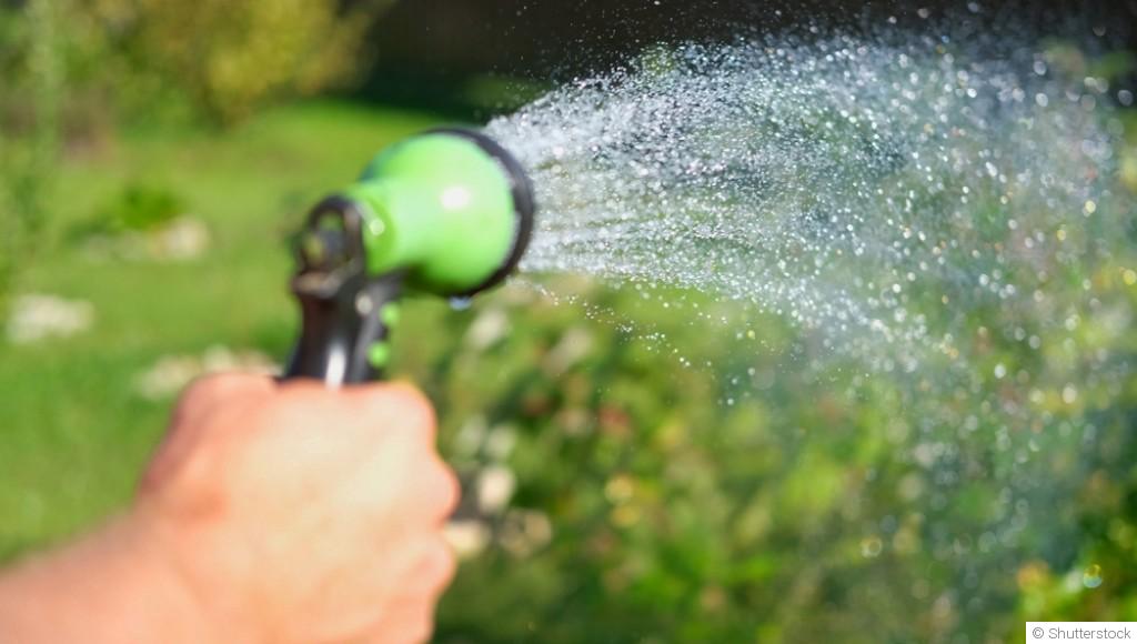 Arrosage malin : comment économiser l’eau sans sacrifier ses plantes