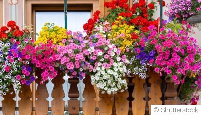Faire son bouquet maison avec les fleurs du jardin
